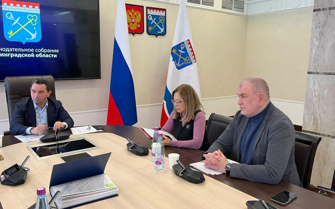 29 сентября 2025 года состоялось заседание жюри областного конкурса «Семейное дело».