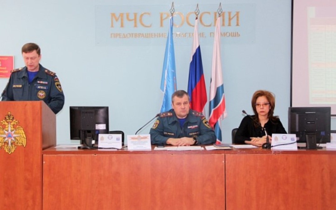 Елена Рулева приняла участие в публичных слушаниях Главного управлении МЧС России по Ленинградской области